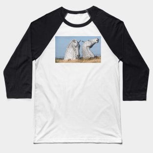 The Kelpies , Helix Park, Falkirk , Scotland Baseball T-Shirt